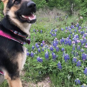 Meet your Posher, Mckenna